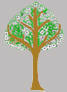 Kapruka: The Tree of wealth